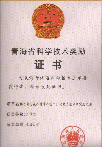 betvictor中文
