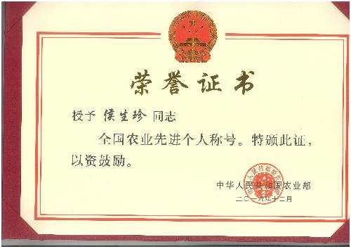 betvictor中文