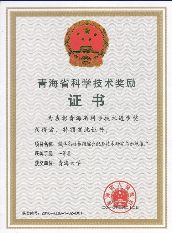 betvictor中文