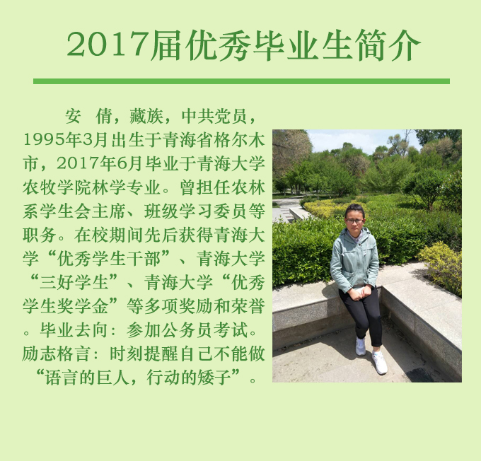 betvictor中文