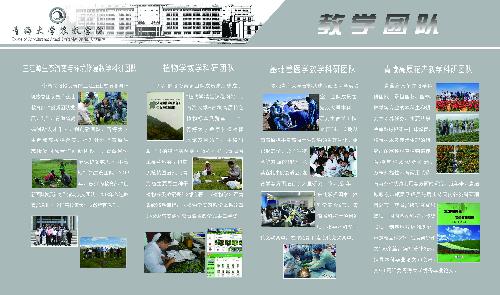 betvictor中文