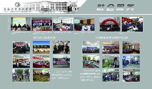 betvictor中文